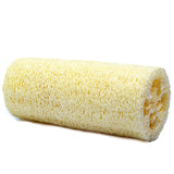 a large piece of loofah on its side
