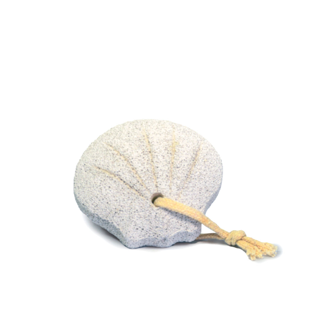 Pumice Stone - Shell
